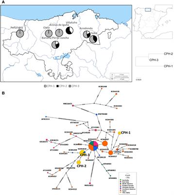 Spanish ecological battleground: population structure of two invasive fungi, Cryphonectria parasitica and Fusarium circinatum